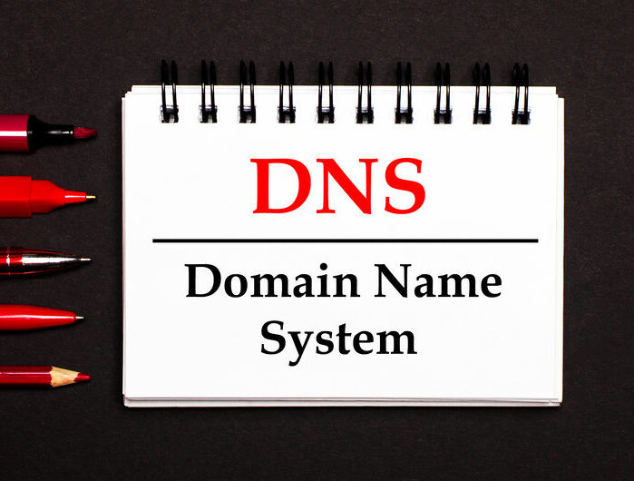 Secondary DNS (Backup DNS)